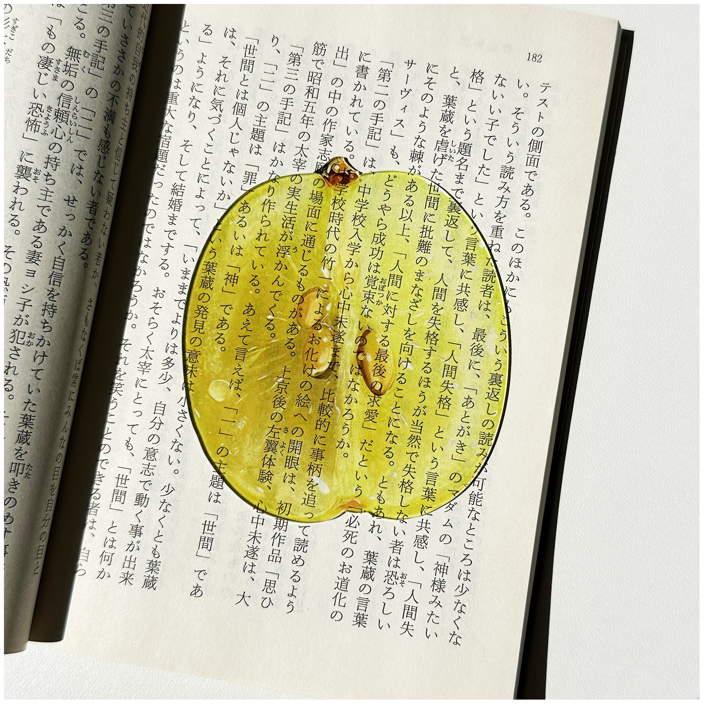 Reading Bookmark  Simulation F - مراجعة Fruit Roll Up وسعره