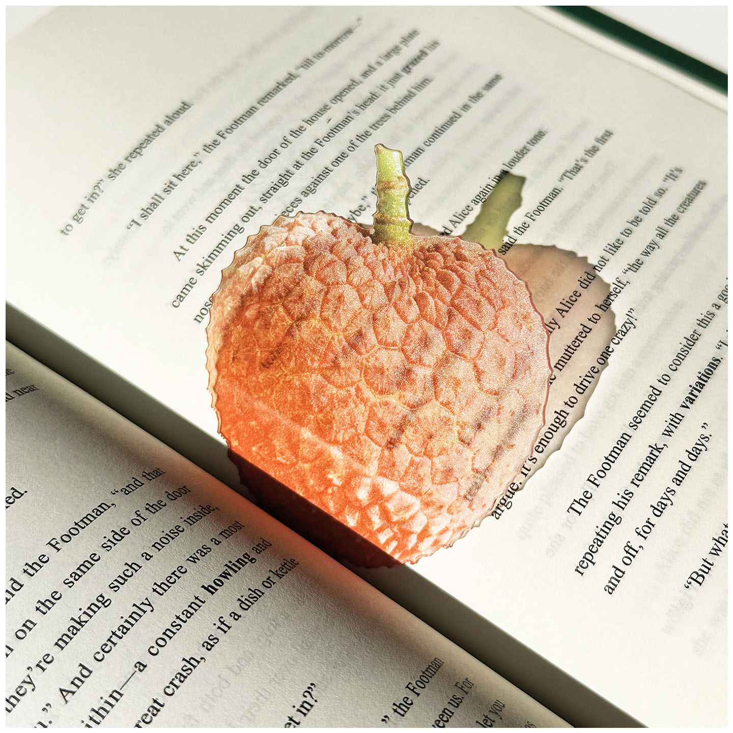 Reading Bookmark  Simulation F - مراجعة Fruit Roll Up وسعره