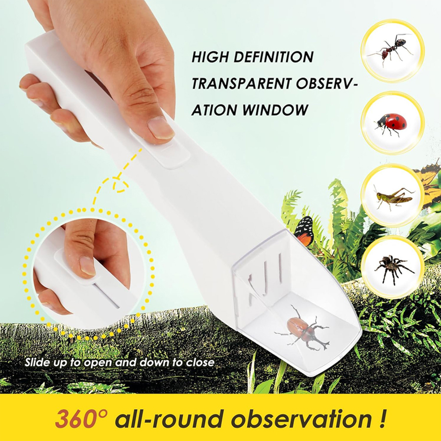 Fly Trap Insect Catcher Moth F - مراجعة Fruit Roll Up وسعره