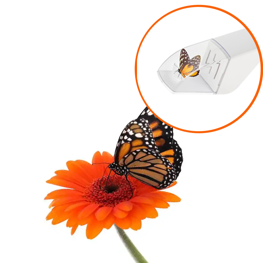 Fly Trap Insect Catcher Moth F - مراجعة Fruit Roll Up وسعره