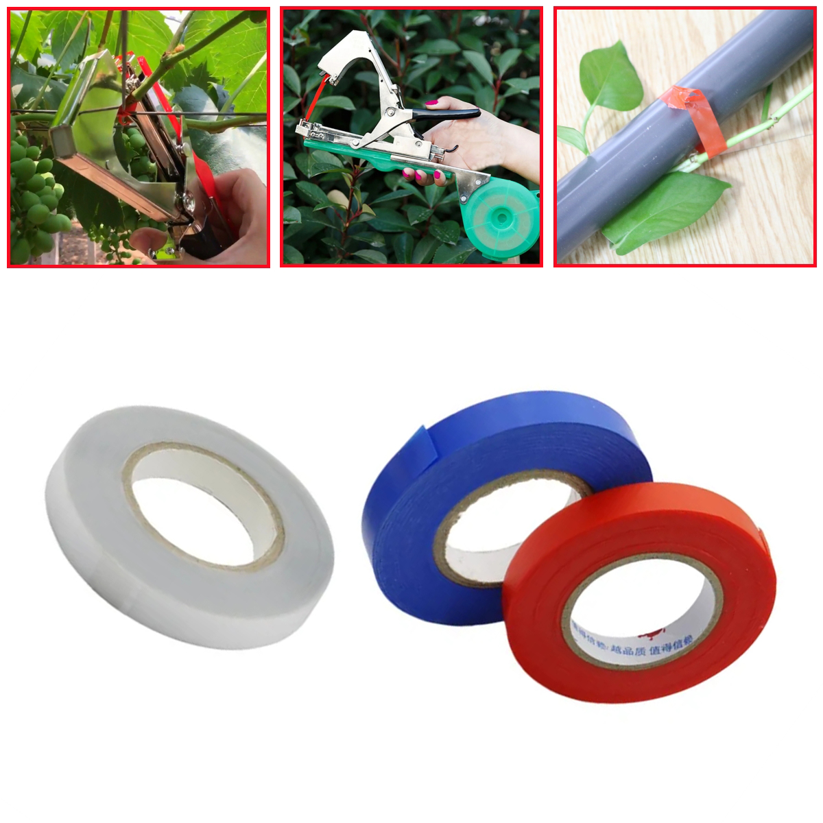 1 Roll Plants Vine Hand Tying  - مراجعة Fruit Roll Up وسعره